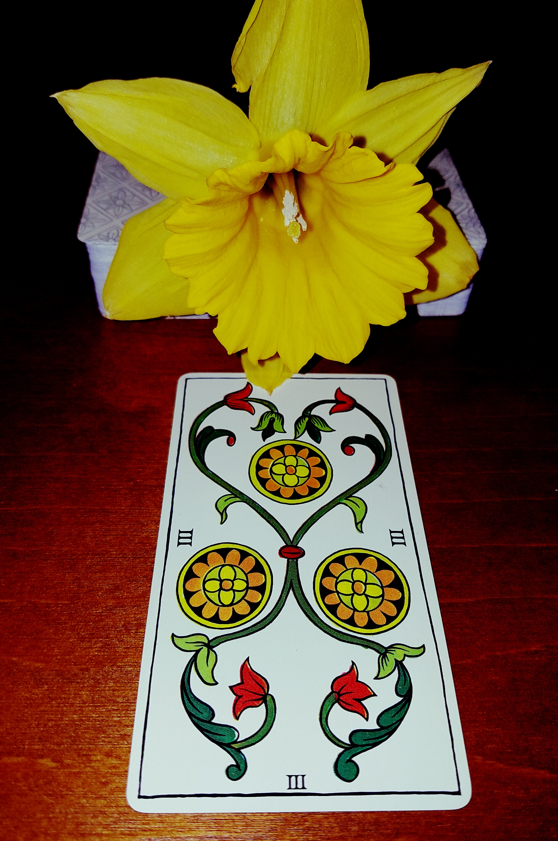 The Spanish Tarot 3 of coins