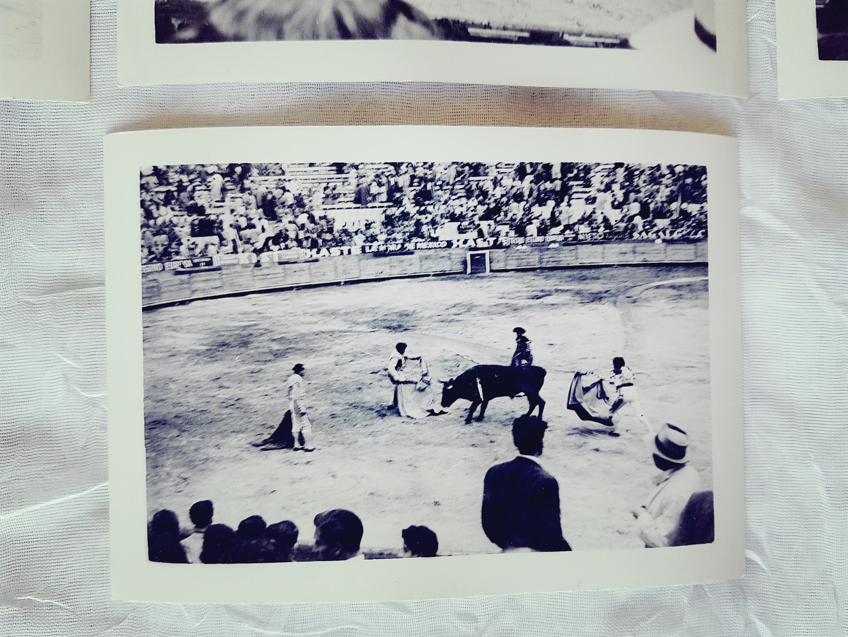 Vintage photograph of bullfight.