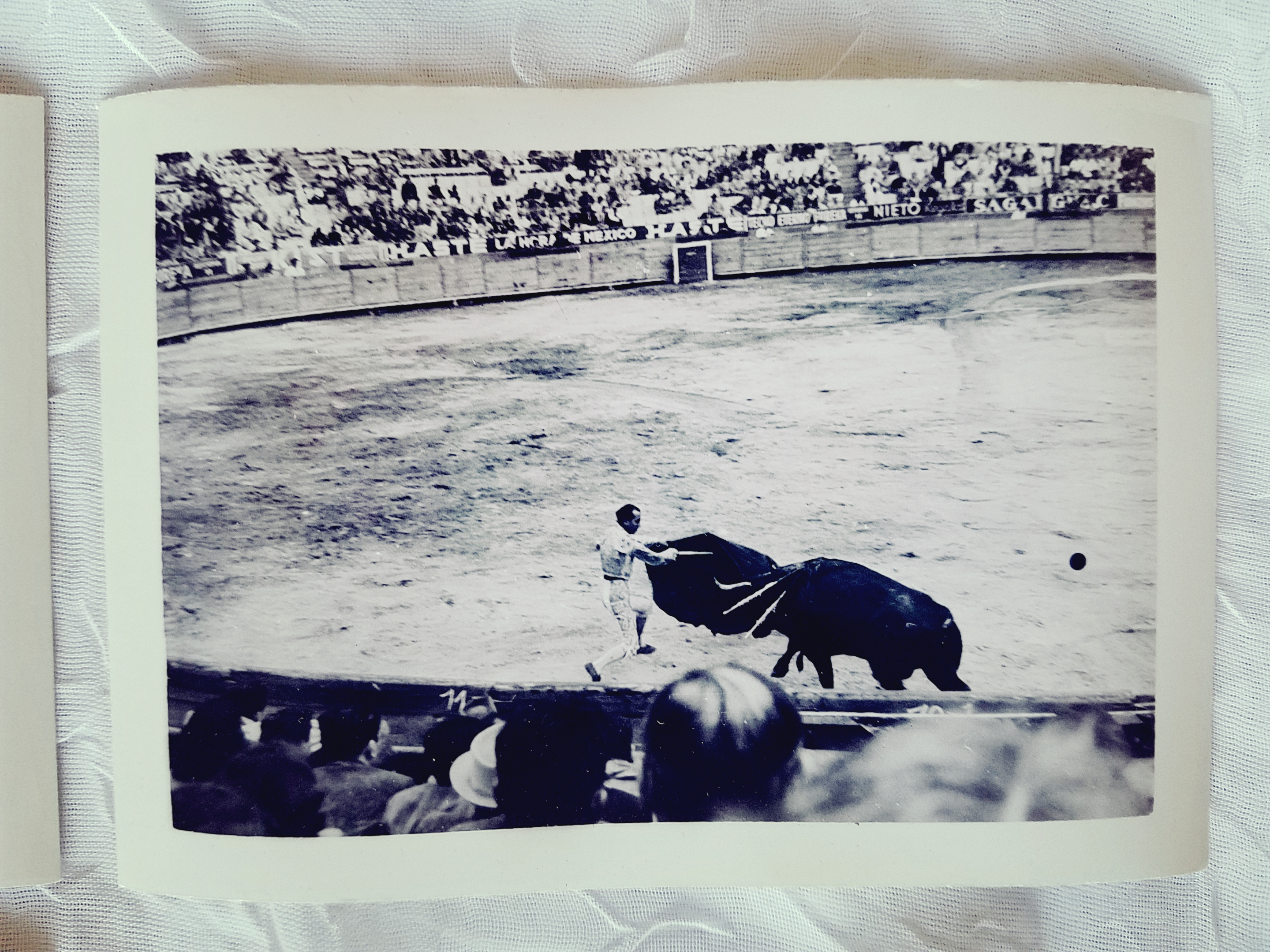 Vintage photograph of a bullfight