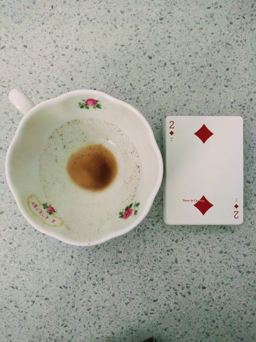 Voltige Playing Cards designed by Henri deSaint Julien & Jacques Denain, published by D&D Playing Card Company.